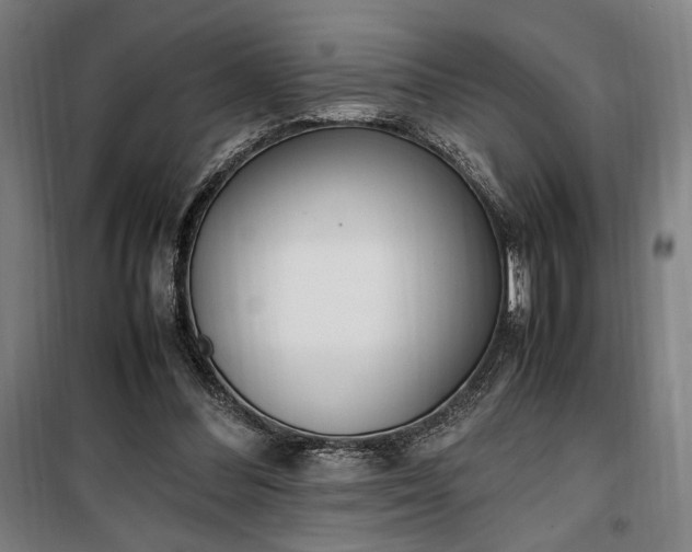 X0000100340300200806121157