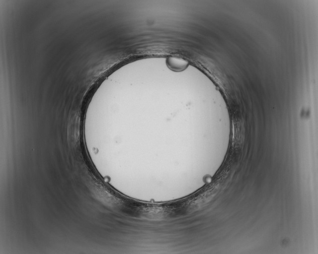 X0000100340301200806121157