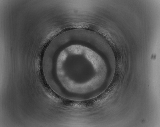 X0000100340303200806121157