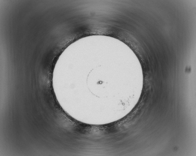 X0000100340305200806121157