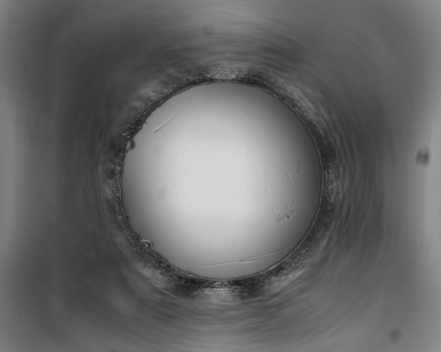 X0000100340307200806121157