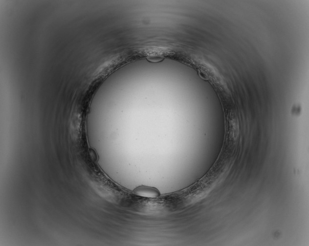 X0000100340308200806121157