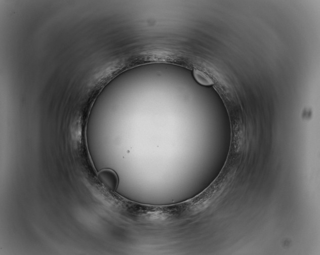 X0000100340310200806121157