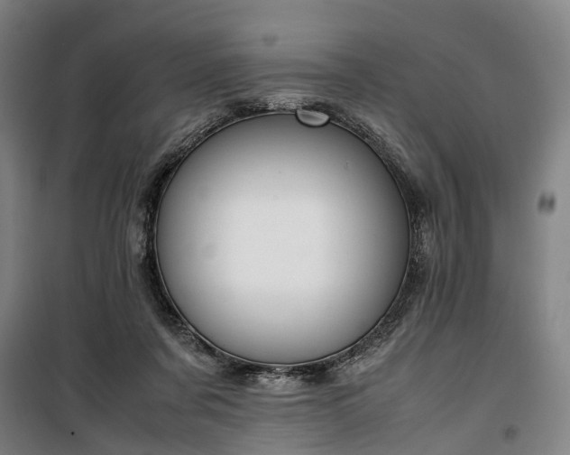 X0000100340311200806121157