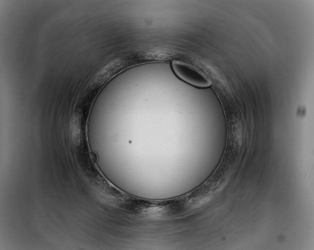 X0000100340312200806121157