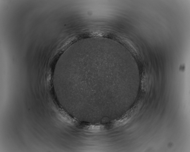 X0000100340314200806121157