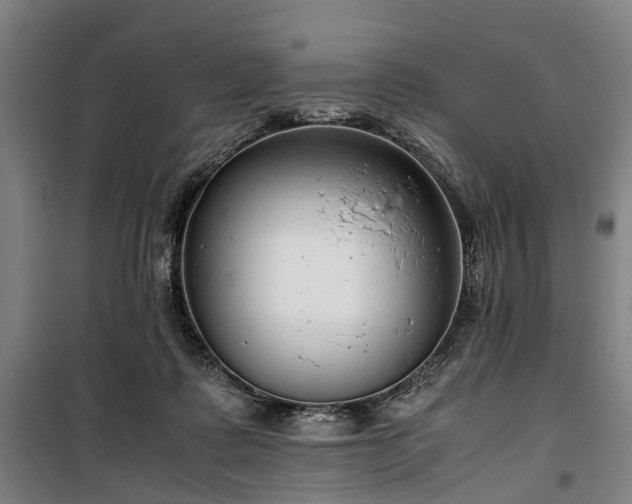 X0000100340315200806121157