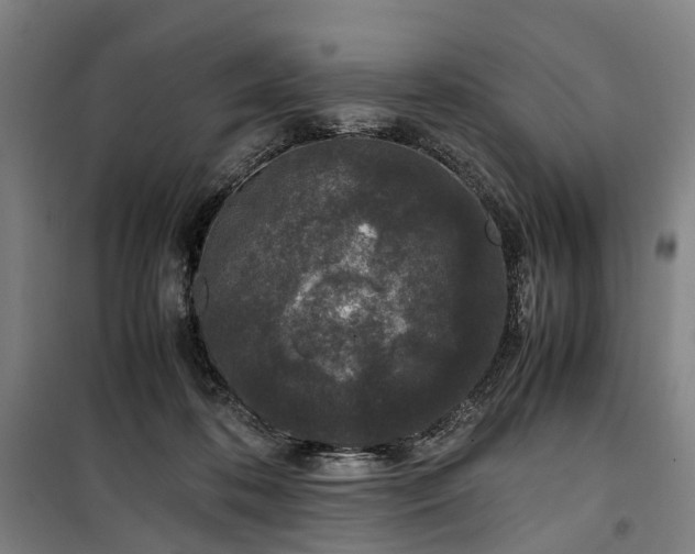 X0000100340316200806121157