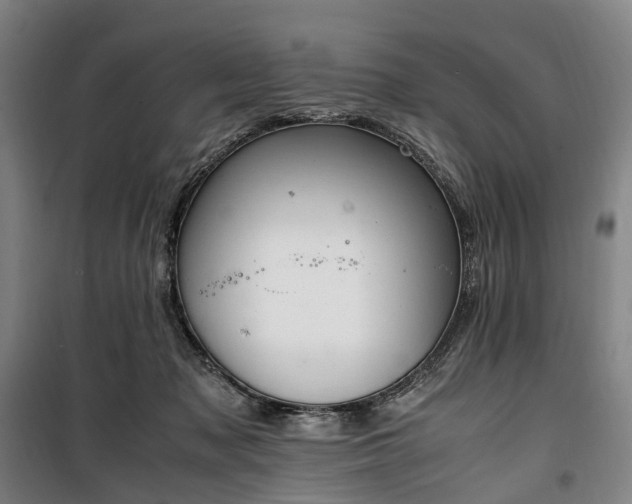 X0000100340317200806121157