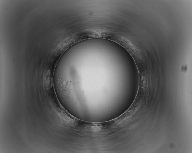 X0000100340318200806121157