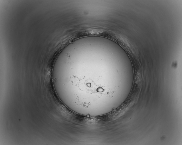 X0000100340321200806121157