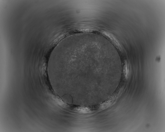 X0000100340322200806121157