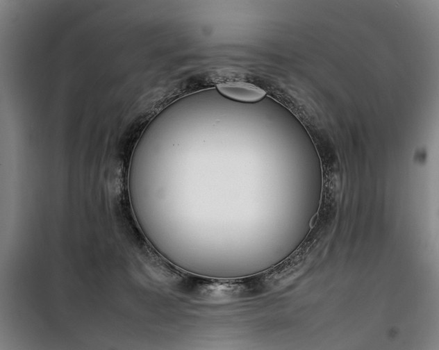 X0000100340323200806121157