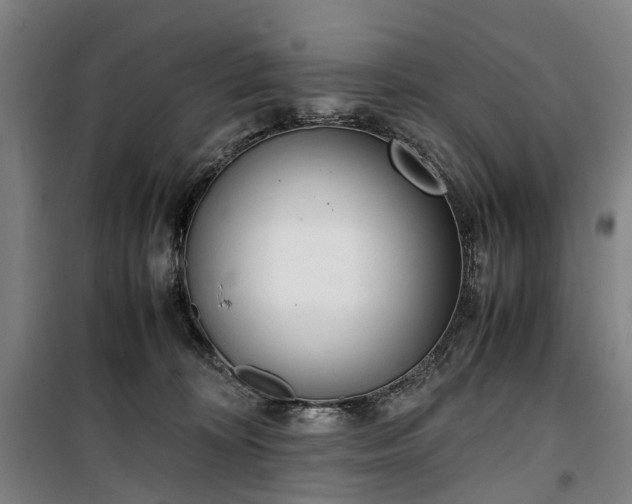 X0000100340324200806121157