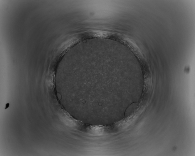 X0000100340325200806121157