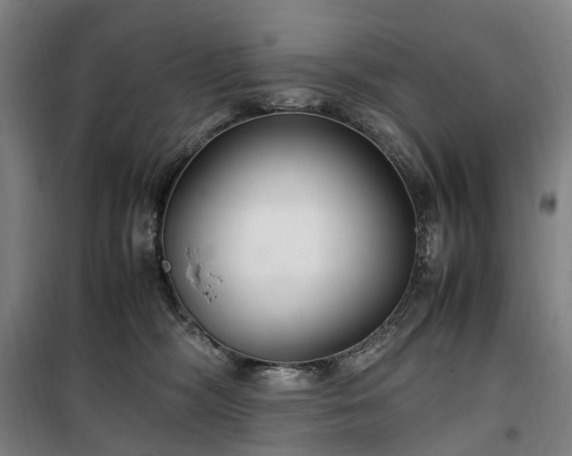 X0000100340326200806121157