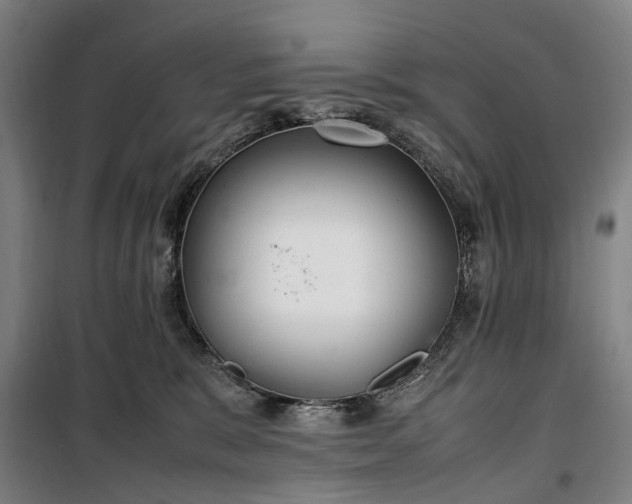 X0000100340327200806121157