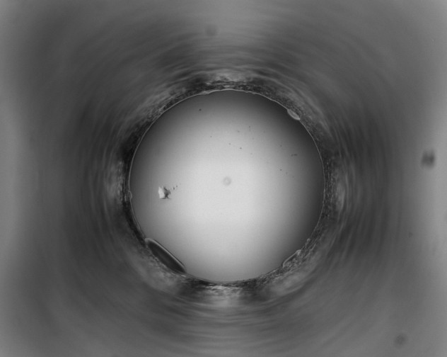 X0000100340328200806121157