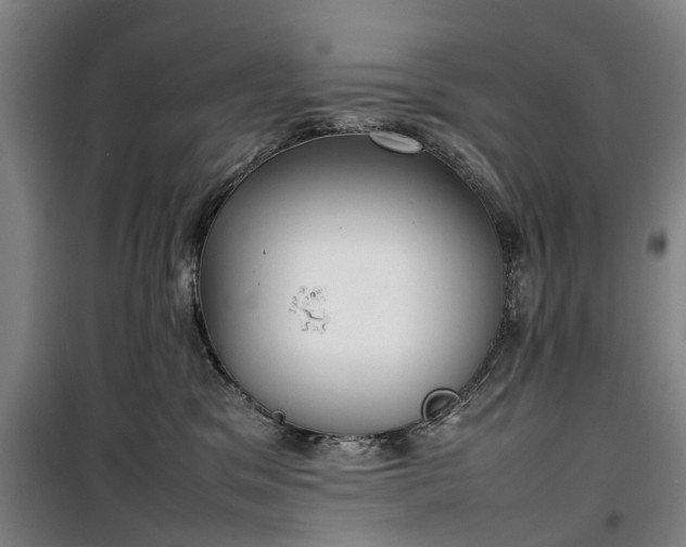 X0000100340329200806121157