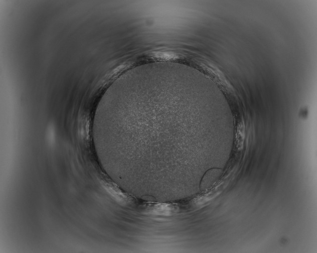 X0000100340330200806121157