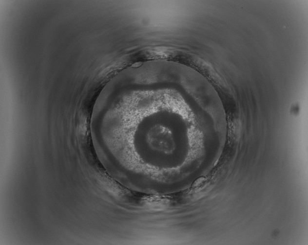 X0000100340331200806121157