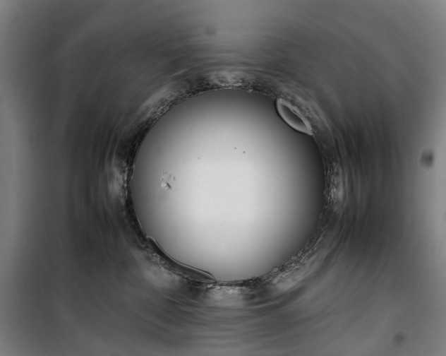 X0000100340332200806121157