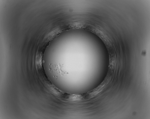 X0000100340334200806121157