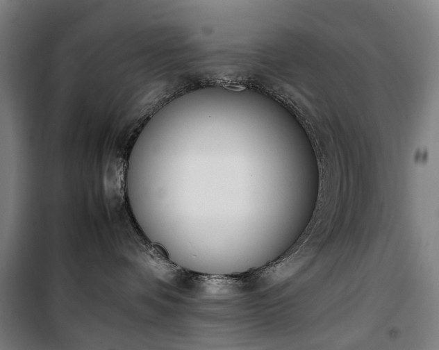 X0000100340336200806121157