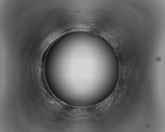 X0000100340338200806121156