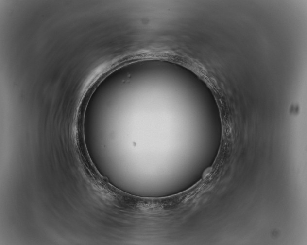 X0000100340340200806121156