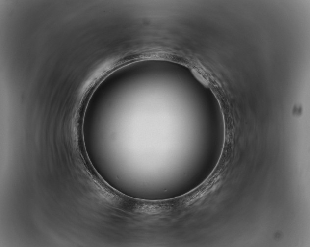 X0000100340341200806121156