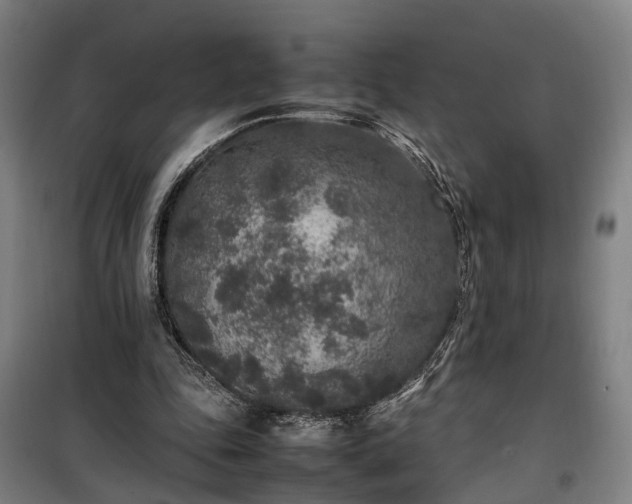 X0000100340343200806121156