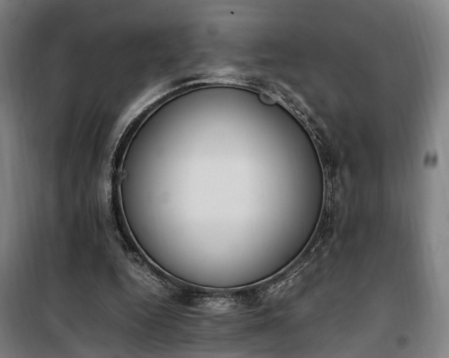 X0000100340344200806121156