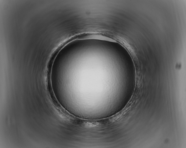 X0000100340346200806121156