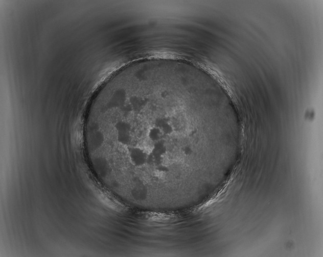 X0000100340347200806121156