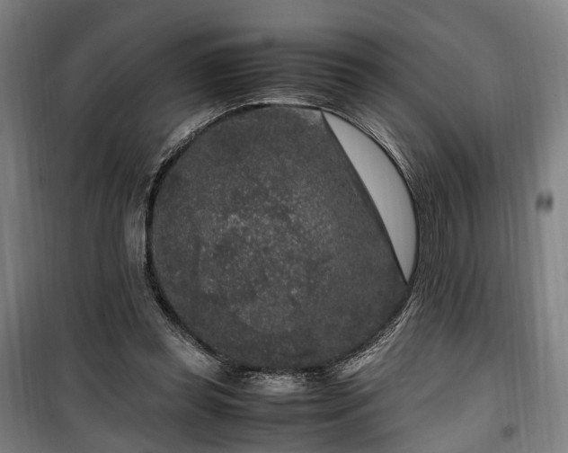 X0000100340349200806121156