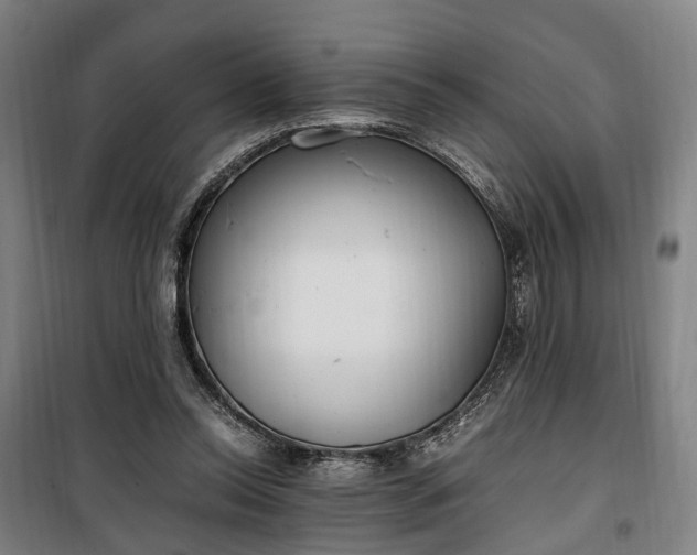 X0000100340350200806121156