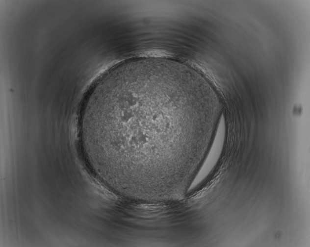 X0000100340351200806121156