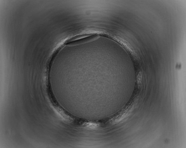 X0000100340352200806121156