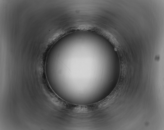 X0000100340354200806121156