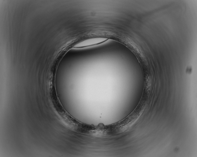 X0000100340356200806121156