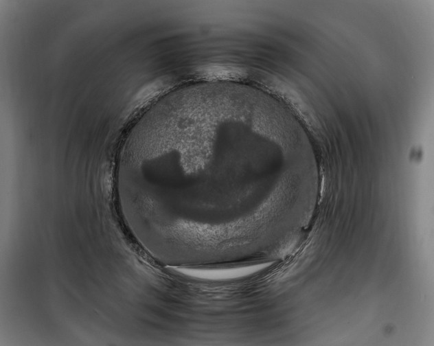 X0000100340357200806121156