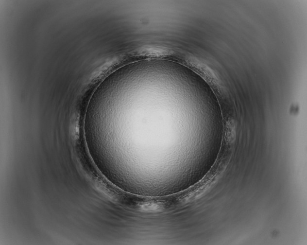 X0000100340358200806121156