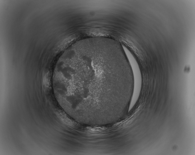 X0000100340359200806121156