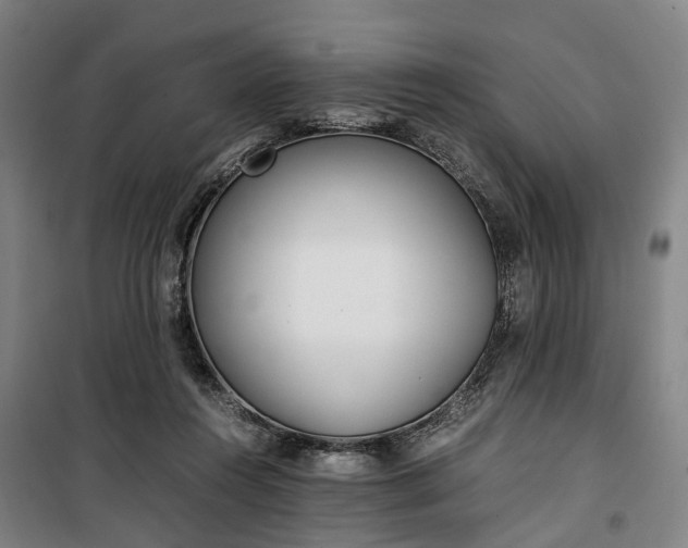 X0000100340360200806121156