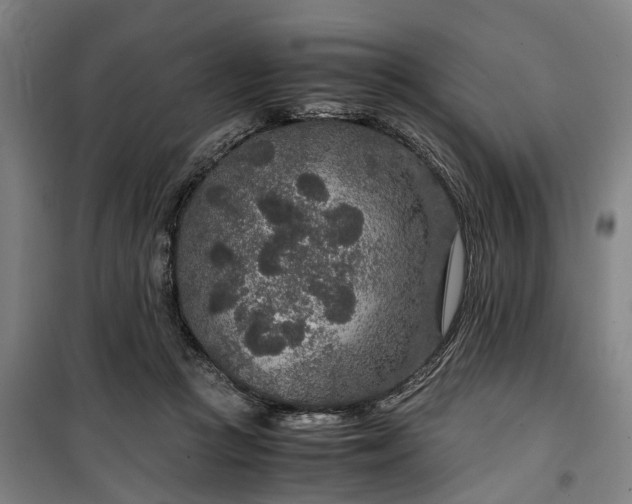 X0000100340361200806121156