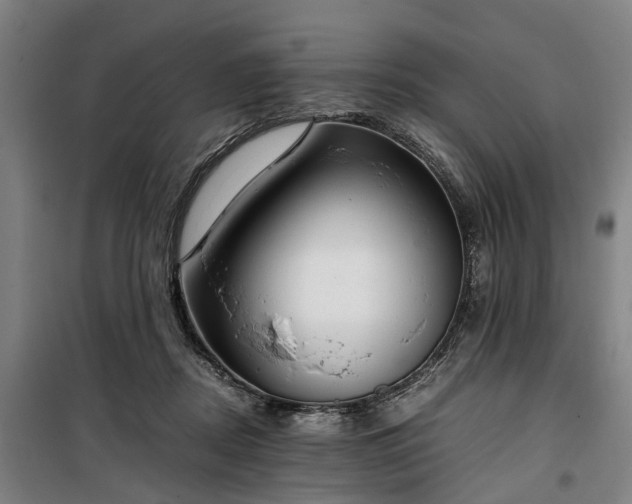 X0000100340362200806121156