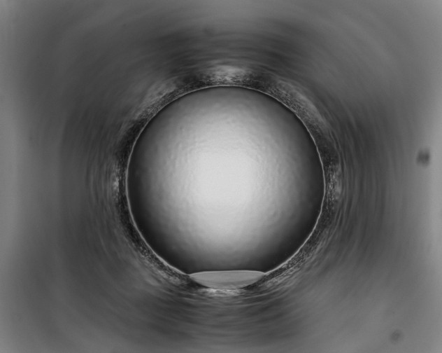 X0000100340363200806121156