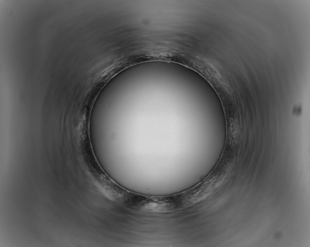 X0000100340364200806121156