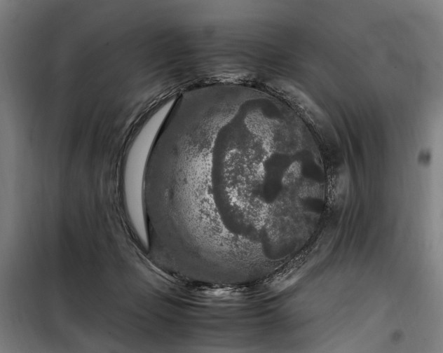 X0000100340365200806121156